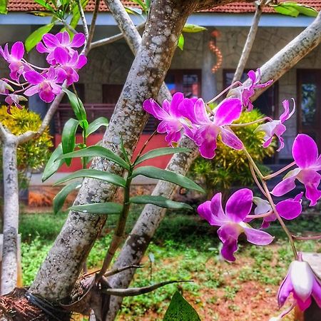 Vedic Heritage Boutique Hotel Kovalam Exterior foto