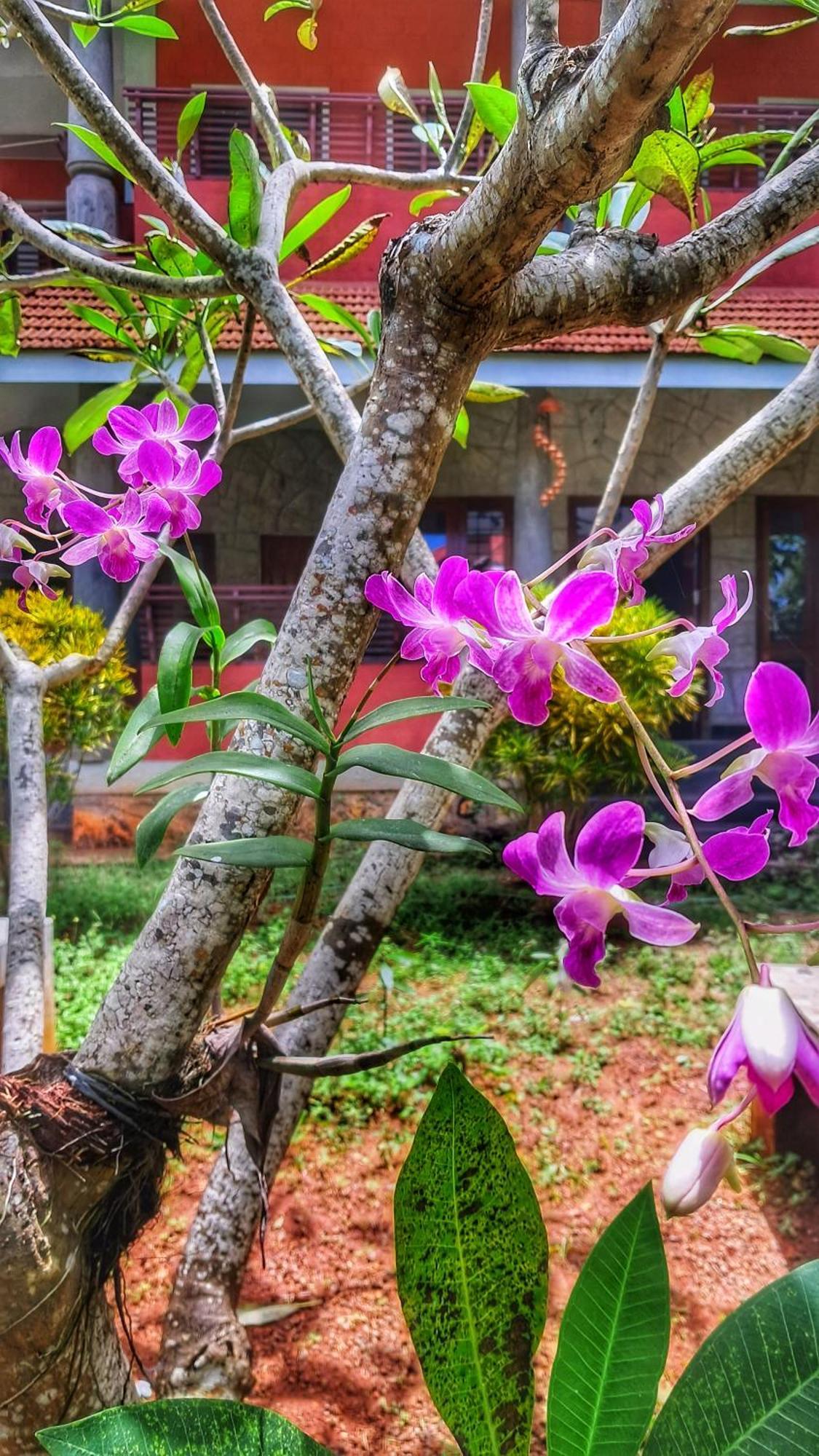 Vedic Heritage Boutique Hotel Kovalam Exterior foto