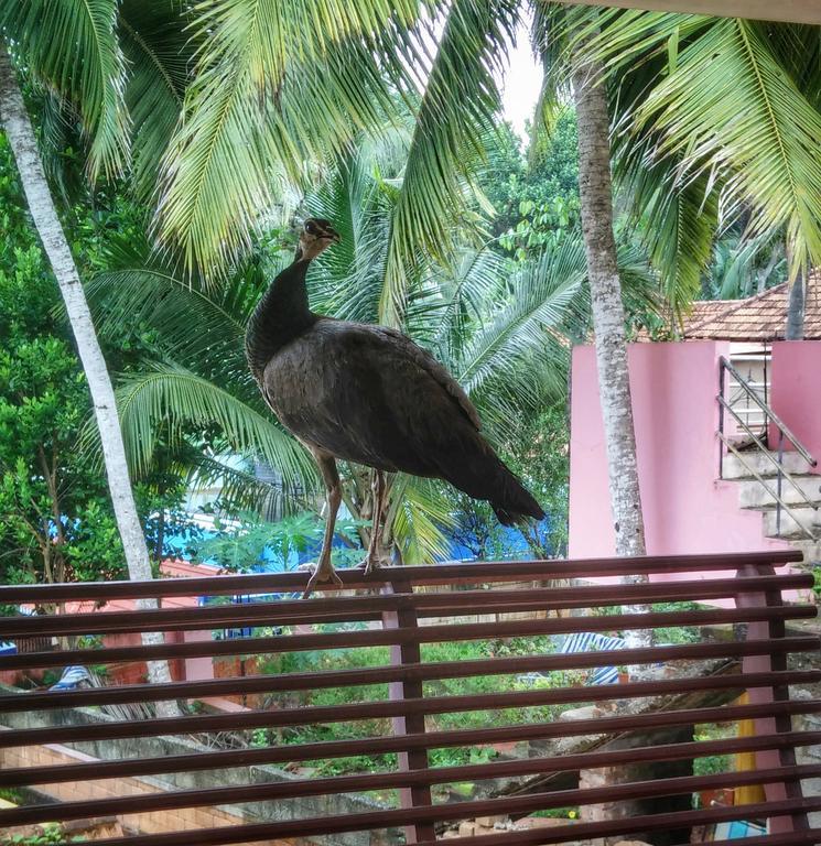 Vedic Heritage Boutique Hotel Kovalam Exterior foto